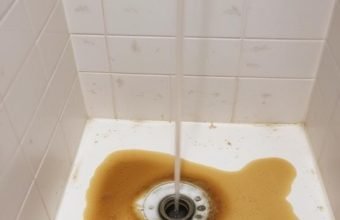 Sewage Coming Up My Shower Drain Sewage Coming Up My Shower Drain